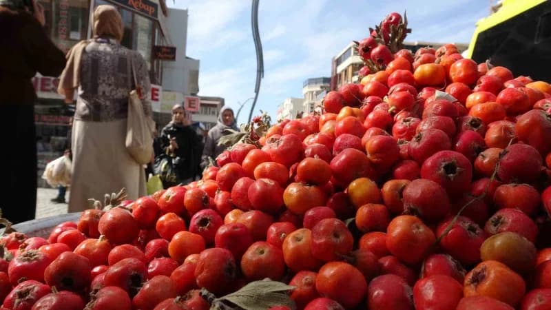 Van’da alıç (Yumuşan), yöre halkı tarafından toplanarak tezgahlarda satışa sunulmaya başladı.
