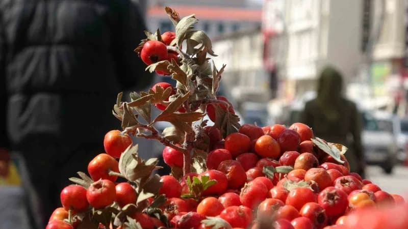 Van’da alıç (Yumuşan), yöre halkı tarafından toplanarak tezgahlarda satışa sunulmaya başladı.