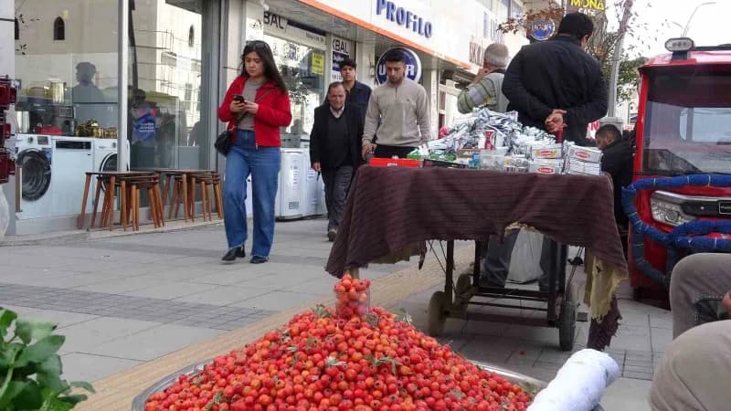 Van’da alıç (Yumuşan), yöre halkı tarafından toplanarak tezgahlarda satışa sunulmaya başladı.