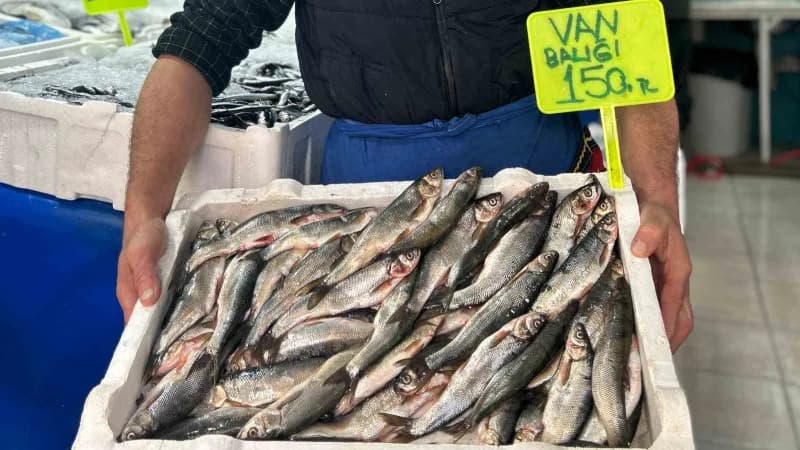 Van'da balık tezgâhlarında deniz ürünlerinin çeşitliliği artarken, vatandaşların tercihi Van Gölü'nü