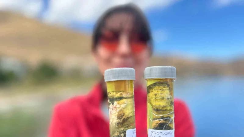 Pamukkale Üniversitesi Mühendislik Fakültesi Jeoloji Mühendisliği Bölümü Öğretim Üyesi Doç. Dr. Ezher Tagliasacchi ise p