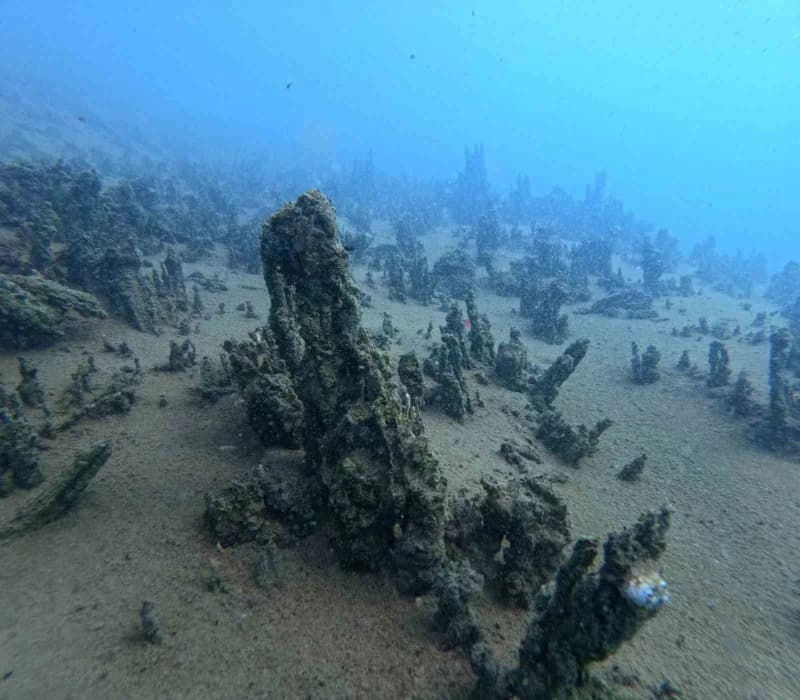 Bitlis’in Tatvan ilçesinde eğitimlerini tamamlayan 18 genç, insansız Su Altı robotuyla Van Gölü’ne açılarak mikrobiyalit