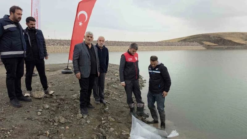Van'daki 37 Su Ürünleri yetiştiricilik tesisinde yıllık yaklaşık 2 bin 500 ton alabalık üretimi gerçekleştirilirken, sek