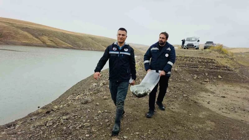Van'daki 37 Su Ürünleri yetiştiricilik tesisinde yıllık yaklaşık 2 bin 500 ton alabalık üretimi gerçekleştirilirken, sek