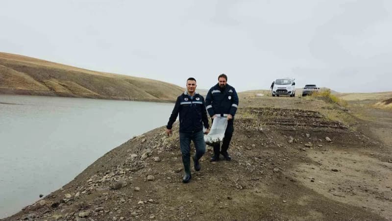 Van'daki 37 Su Ürünleri yetiştiricilik tesisinde yıllık yaklaşık 2 bin 500 ton alabalık üretimi gerçekleştirilirken, sek