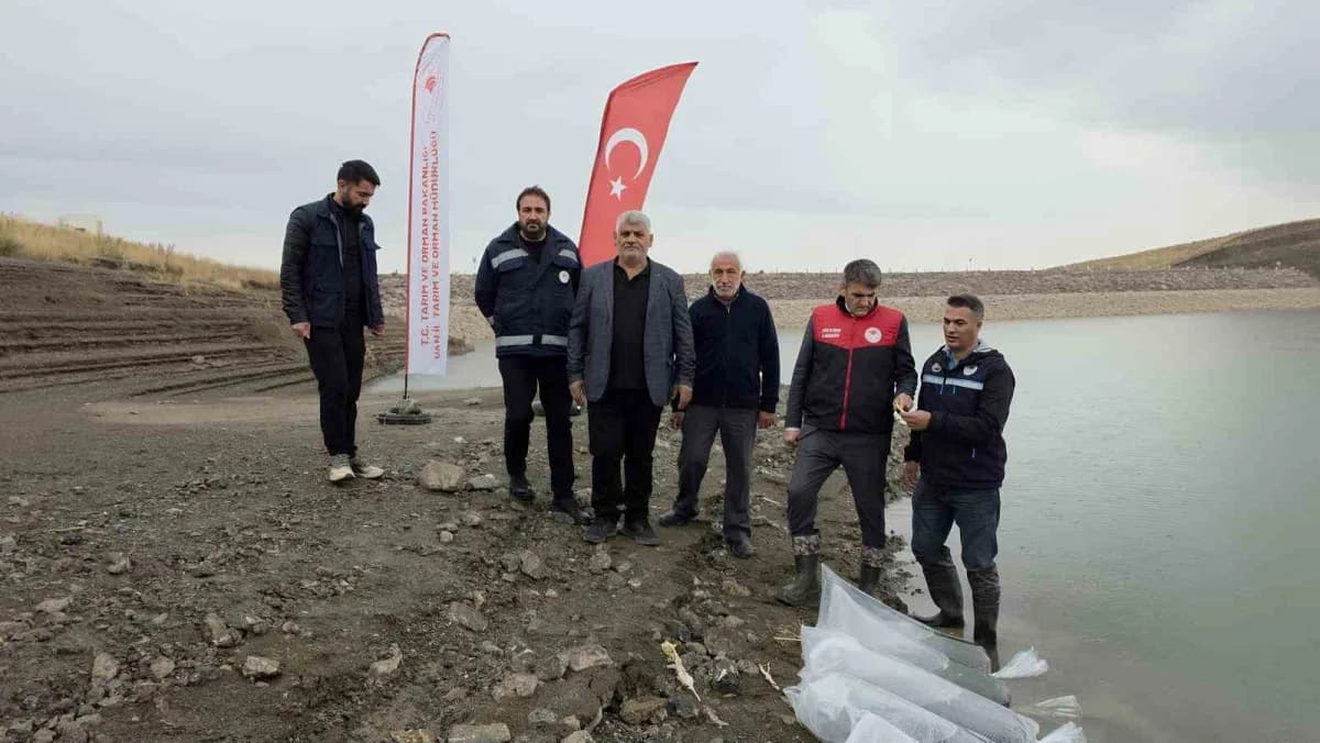 Van'daki 37 Su Ürünleri yetiştiricilik tesisinde yıllık yaklaşık 2 bin 500 ton alabalık üretimi gerçekleştirilirken, sek