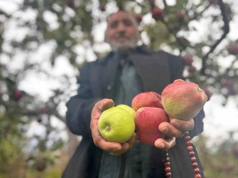 Van'ın Edremit ilçesinde 5 dönümlük çorak araziyi yıllar süren çabasıyla meyve bahçesine dönüştüren 75 yaşındaki Hasan Y