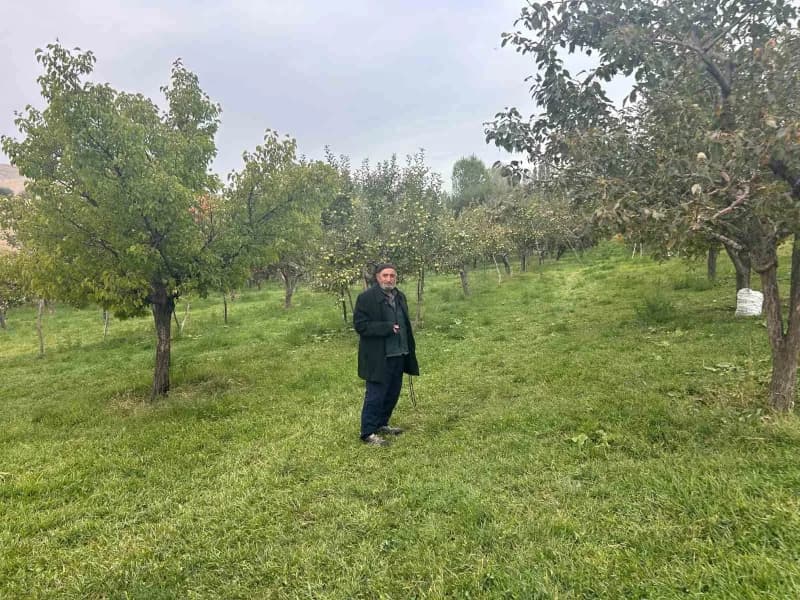 Van'ın Edremit ilçesinde 5 dönümlük çorak araziyi yıllar süren çabasıyla meyve bahçesine dönüştüren 75 yaşındaki Hasan Y