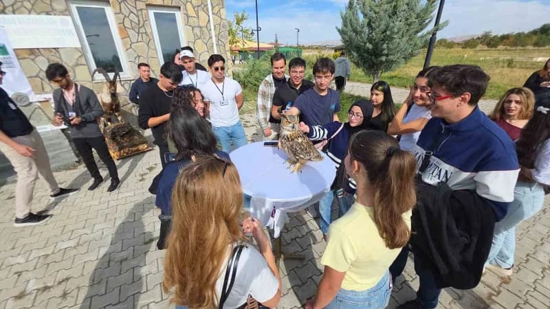 Tedavisi tamamlanan şahin doğaya bırakıldı
