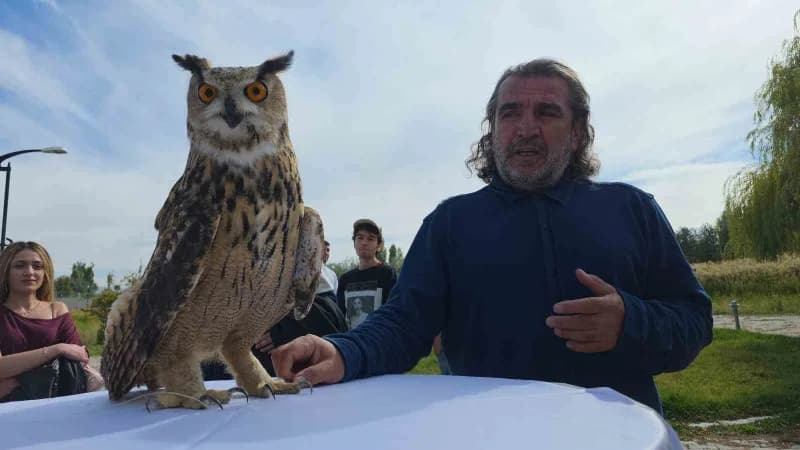Van YYÜ Yaban Hayvanları Koruma Merkezi’nde tedavisi tamamlanan şahin doğaya bırakılırken