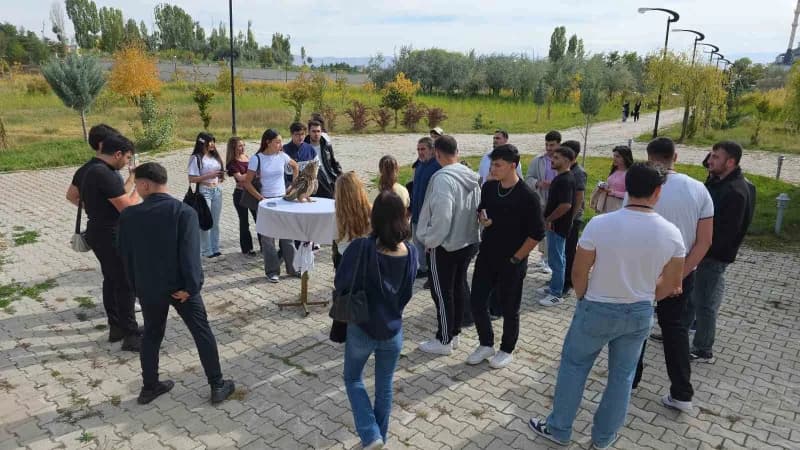 Tedavisi tamamlanan şahin doğaya bırakıldı