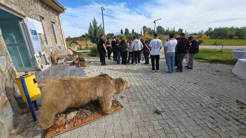 Tedavisi tamamlanan şahin doğaya bırakıldı