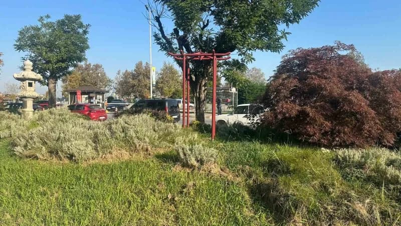 Yalova ile Japonya’nın Tonami şehri arasındaki kardeşlik ilişkilerinin simgesi olan 37 yıllık Japon Barış Çanı çalındı