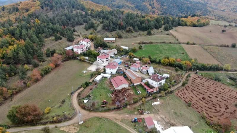 Camili köy