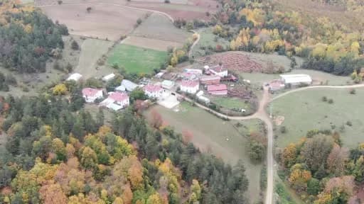 Yemek borusuna armut kaçan inek, ameliyatla kurtarıldı