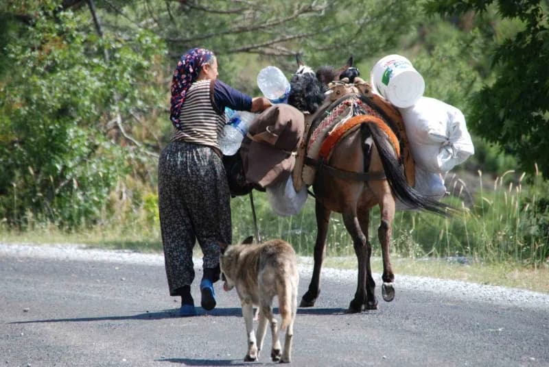 Antalya’nın Alanya ilçesinden yaz aylarında küçükbaş hayvanlarını otlatmak için Toros Dağları’nın yü