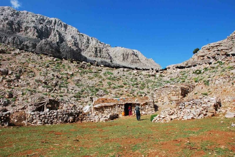 Antalya’nın Alanya ilçesinden yaz aylarında küçükbaş hayvanlarını otlatmak için Toros Dağları’nın yü
