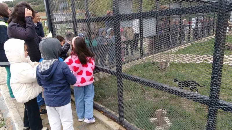 Evcil Köy tesisi, 4 Ekim Dünya Hayvanları Koruma Günü'nde farkındalık merkezine dönüştü.