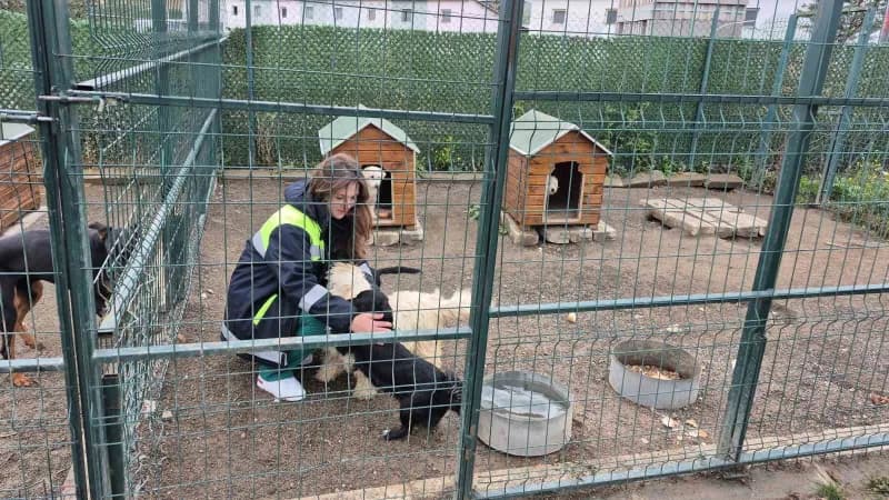 Evcil Köy tesisi, 4 Ekim Dünya Hayvanları Koruma Günü'nde farkındalık merkezine dönüştü.