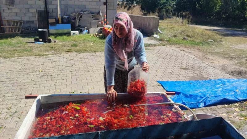 Meyveler temizlenip bidonlara dolduruluyor
