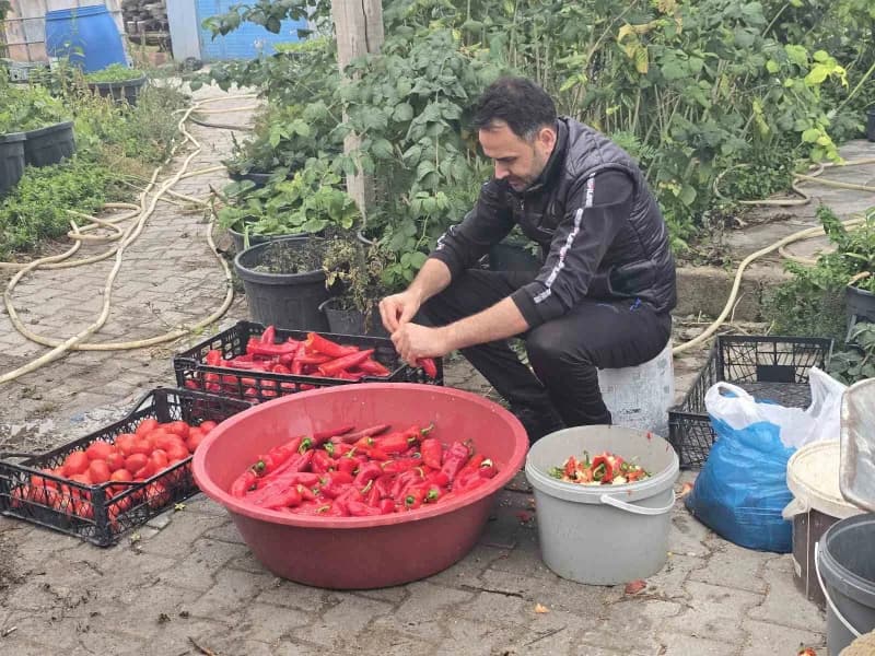 Yozgat'ın Sorgun ilçesinde yaşayan üç arkadaş doğal, hijyenik ve ekonomik olmasının yanı sıra eşlerine de yardımcı olmak