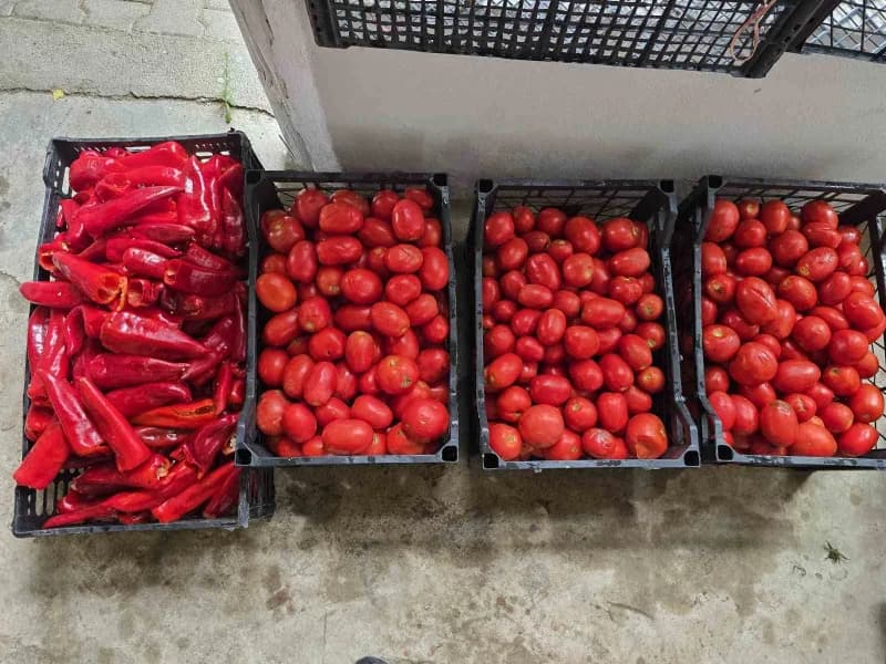 Yozgat'ın Sorgun ilçesinde yaşayan üç arkadaş doğal, hijyenik ve ekonomik olmasının yanı sıra eşlerine de yardımcı olmak