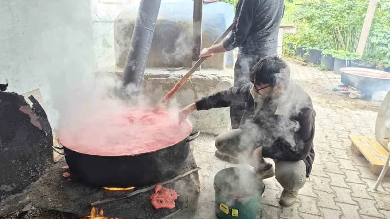 Yozgat'ın Sorgun ilçesinde yaşayan üç arkadaş doğal, hijyenik ve ekonomik olmasının yanı sıra eşlerine de yardımcı olmak