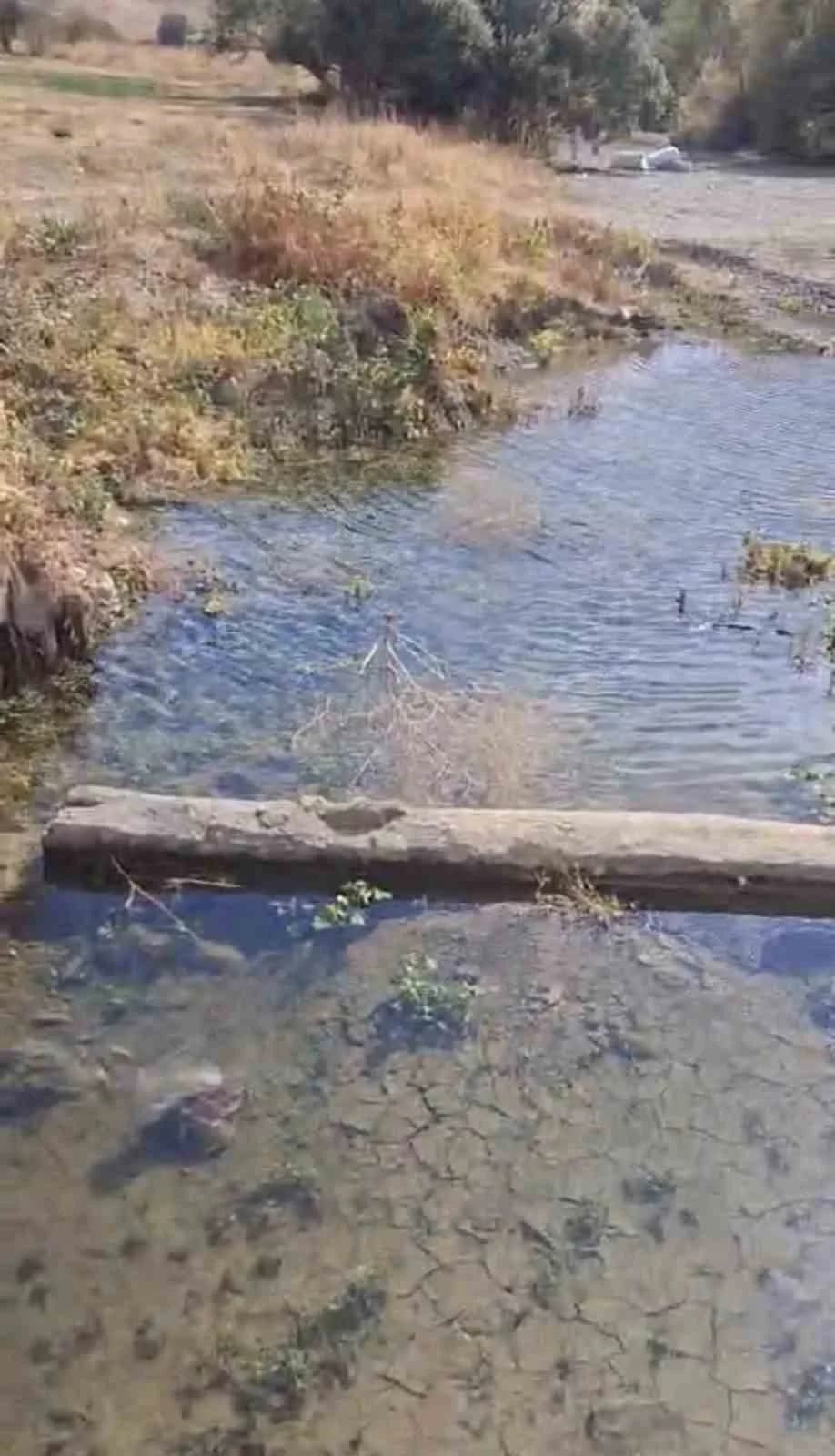 Yüksekova’da su seviyesi azalan sulak alanda balık kurtarma çalışmaları yapan ekipler ve köylüler