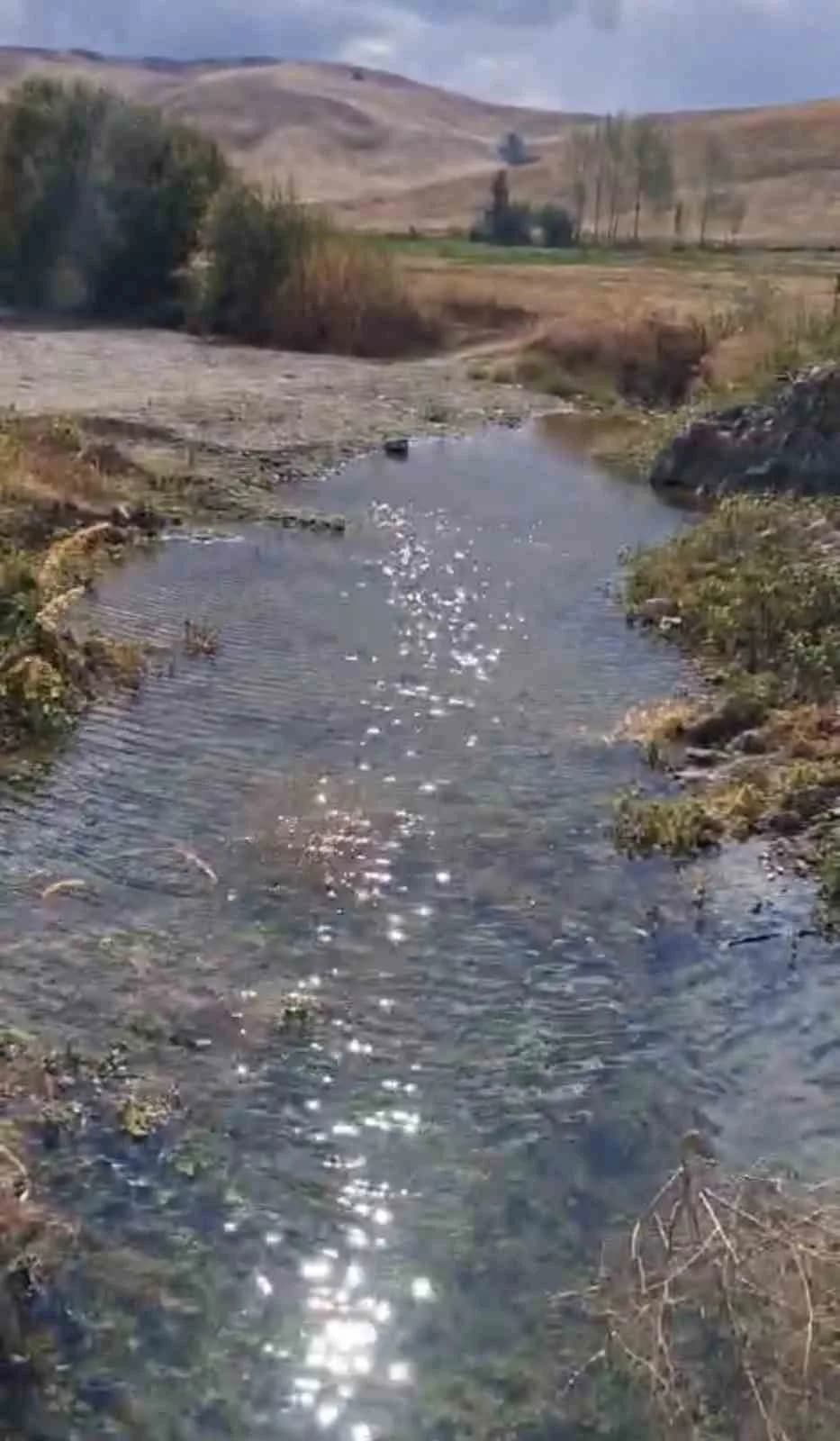 Bölgede son dönemde etkili olan kuraklık ve su kaynaklarının azalması, Yüksekova'nın en önemli ekosistemlerinden biri ol