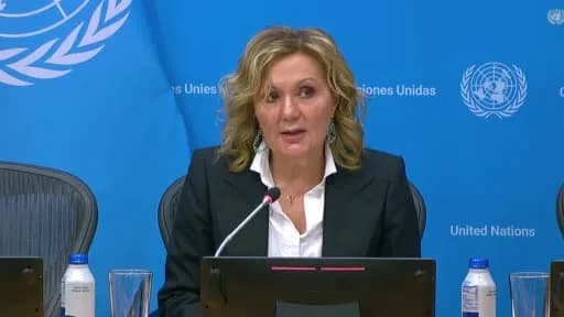 Yunanistan BM Daimi Temsilcisi Aglaia Balta, BM Genel Merkezi’nde basın toplantısı yaparken