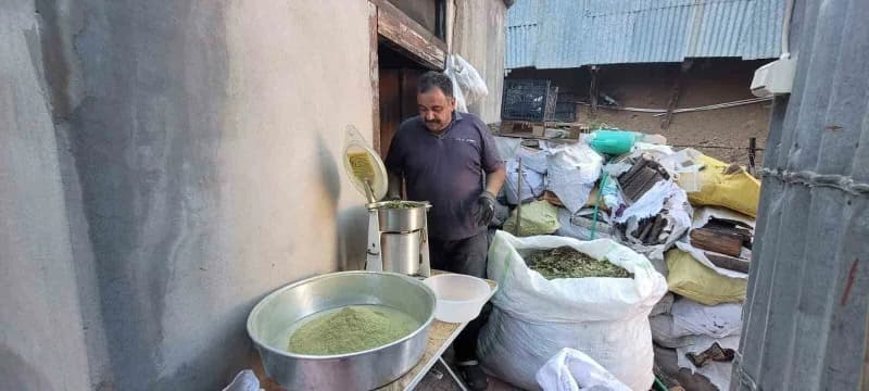 Erzincan Kemaliye'de 120 bitkiden oluşan zetrin baharatının hazırlanışı ve sunumu