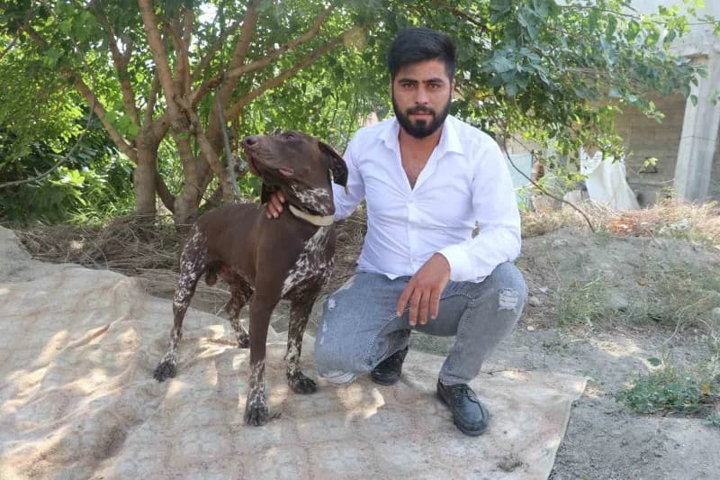 Adana Sarıçam’da bir köpeğe sopayla şiddet uygulanırken güvenlik kamerası görüntüsü