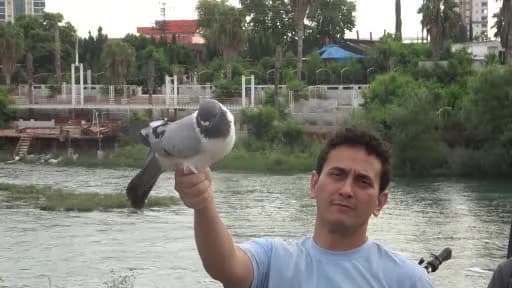 Adana kuş pazarında çeşitli türlerde kuşların kafeslerde sergilendiği ve satıldığı kalabalık pazar alanı