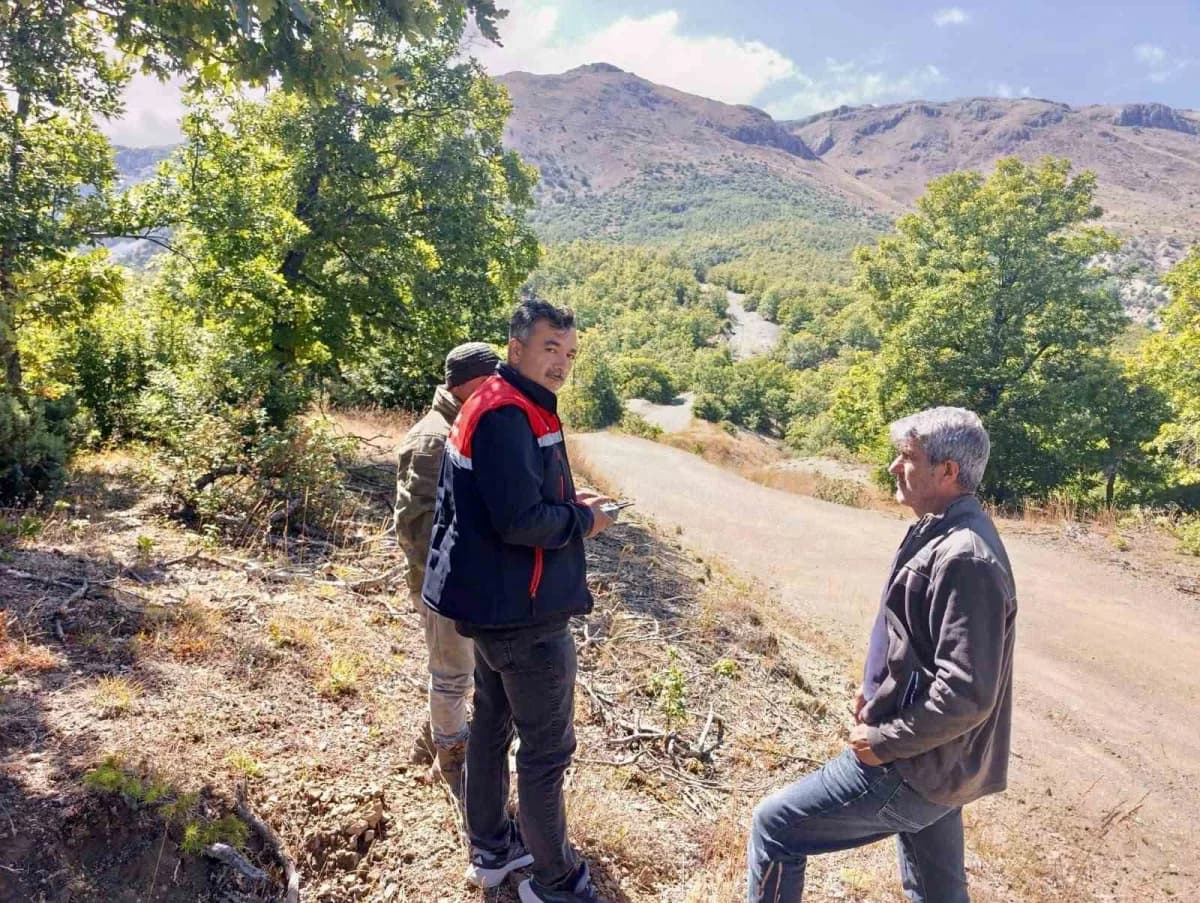 Afyonkarahisar Sultandağı'nda dron ile yapılan arama çalışmasında bulunan büyükbaş hayvanlar
