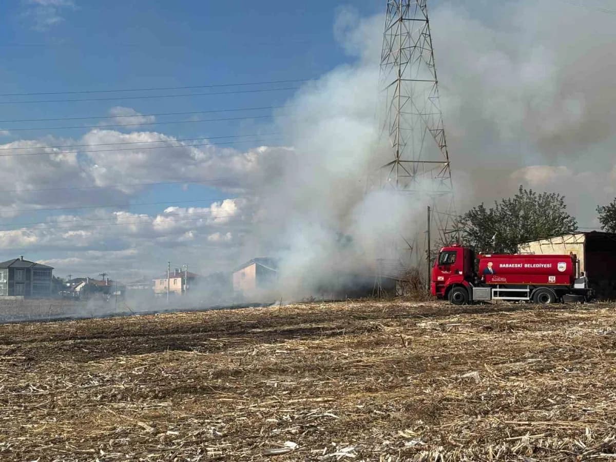 Kırklareli Babaeski’de hayvan çiftliğinde çıkan yangında itfaiye ekipleri müdahalede bulunuyor