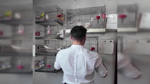 İçişleri Bakanı Mustafa Çiftçi, Suriyeli mültecilerle ilgili açıklama yaparken