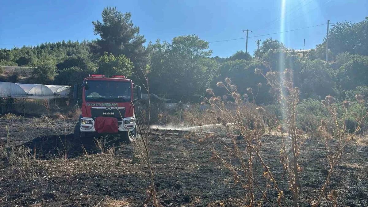 Bilecik Söğüt'te ot yangını sonrası itfaiye ekiplerinin müdahalesi