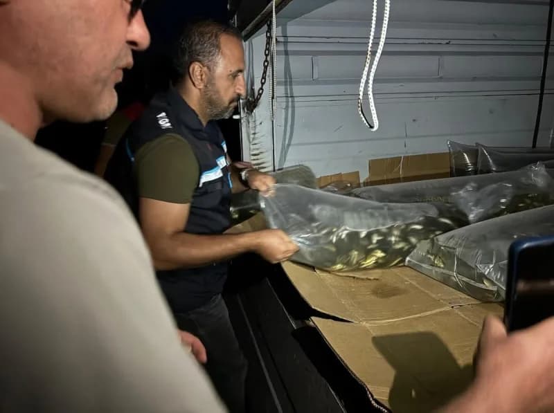 Bitlis’te göl ve göletlere 1 milyon 397 bin 500 yavru sazan bırakıldı