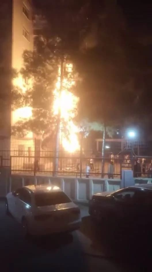 Diyarbakır Kayapınar ilçesinde havai fişek nedeniyle site içindeki ağacın yandığı an