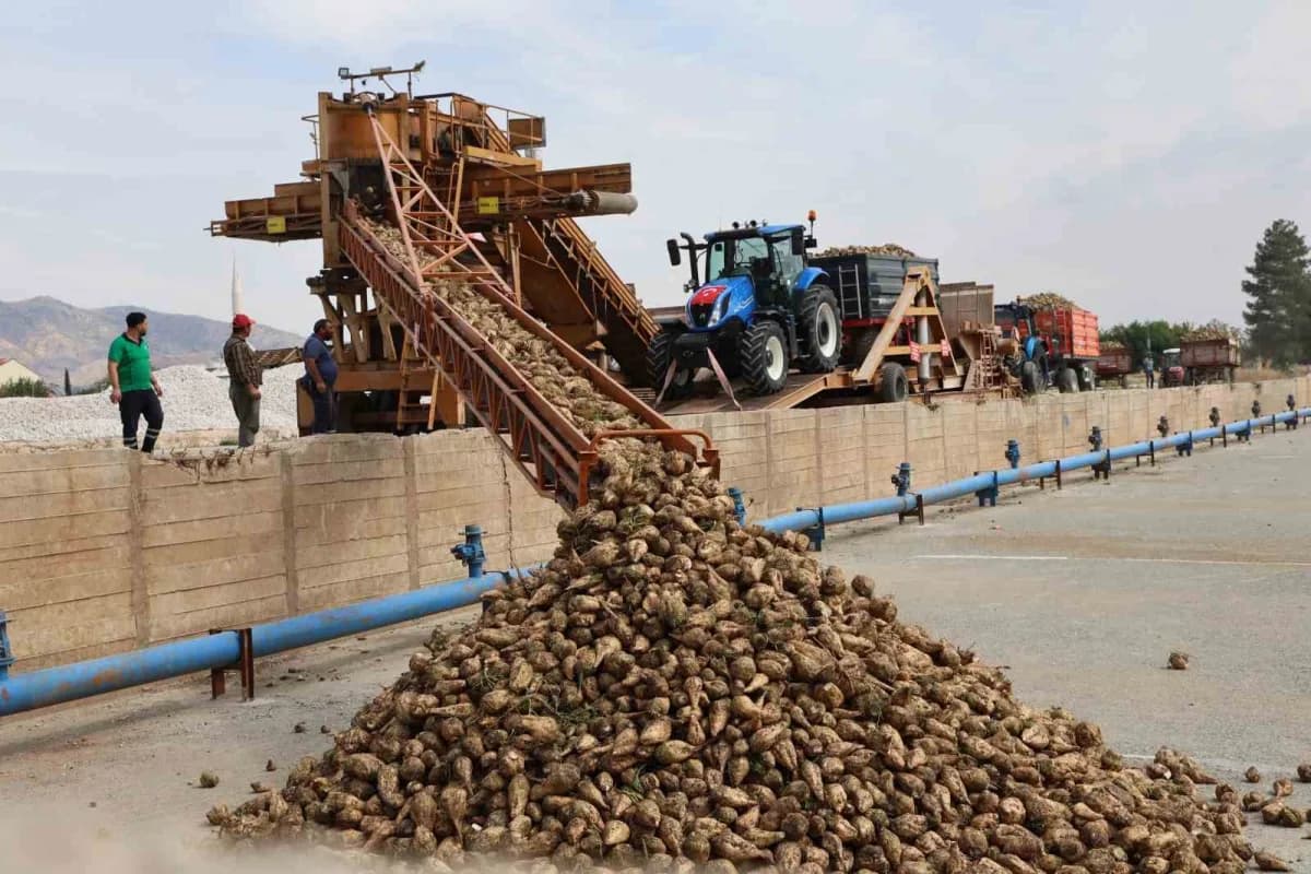 Elazığ Şeker Fabrikası kampanya açılış töreninde pancar işleme ve üretim hedefleri açıklanıyor