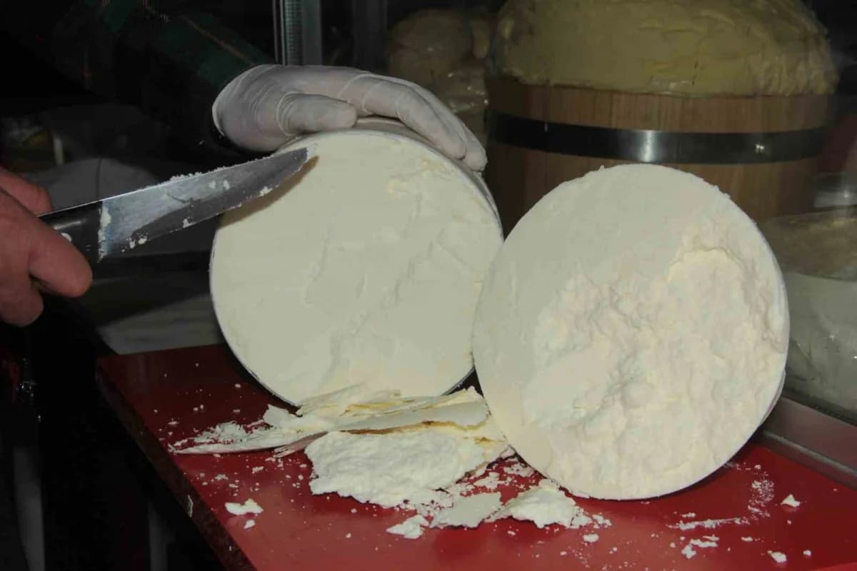 Erzincan Tulum Peyniri ve bilimsel çalışma sunumu yapılan uluslararası kongre