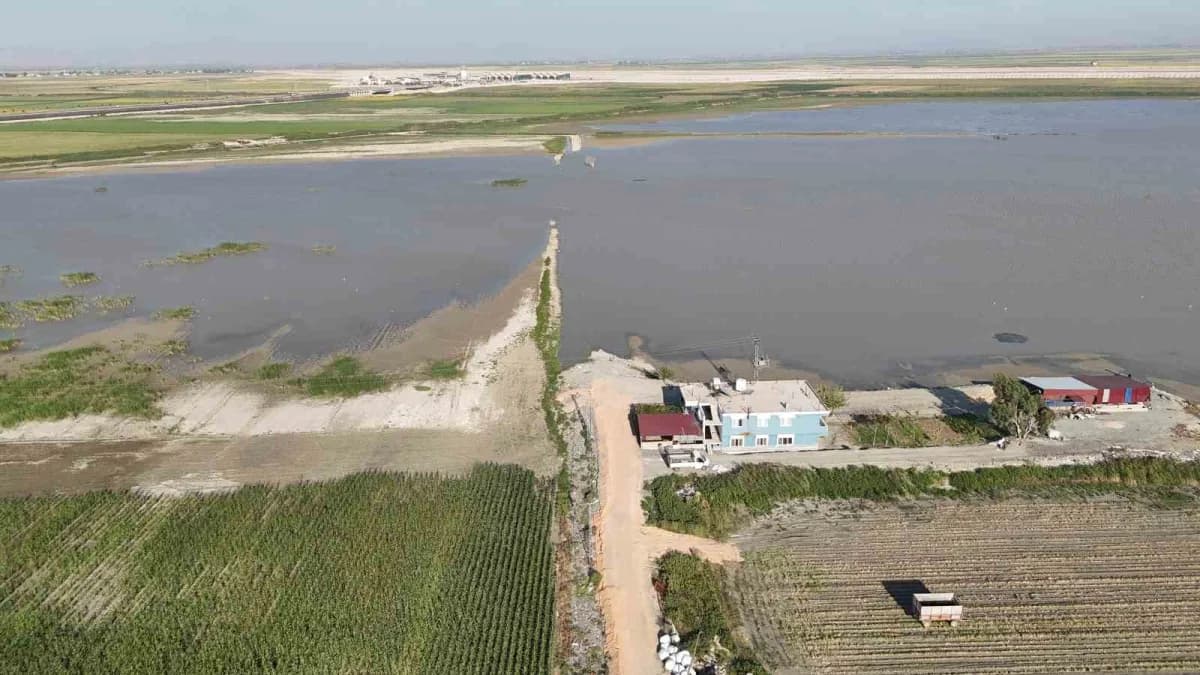 Hatay Amik Ovası’nda su baskını nedeniyle su altında kalan tarım arazileri ve göçmen kuşlar