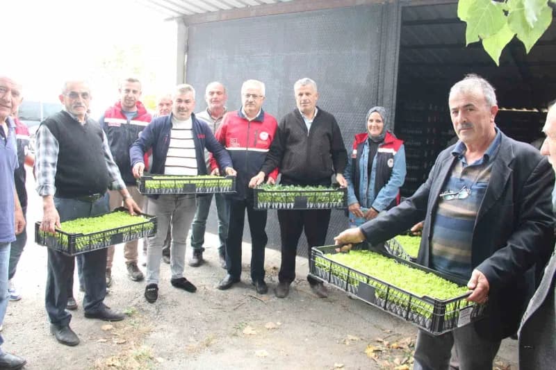 Kastamonu İnebolu’da çiftçilere dağıtılan sebze fideleri