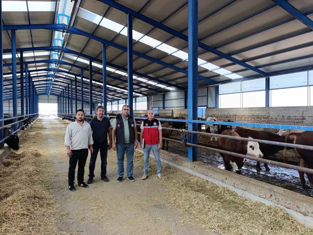 Konya Karapınar’da ithal besilik sığırların sağlık ve mevzuat denetimi yapan ekipler