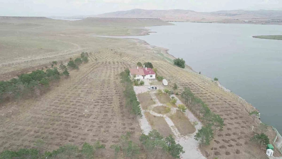 Kars’ta DSİ ve Orman Bölge Müdürlüğü ekipleri baraj çevresinde ağaçlandırma çalışması yapıyor