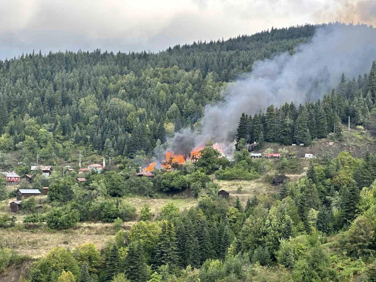 Kastamonu İnebolu Deresökü köyünde çıkan yangında alevlere müdahale eden itfaiye ekipleri
