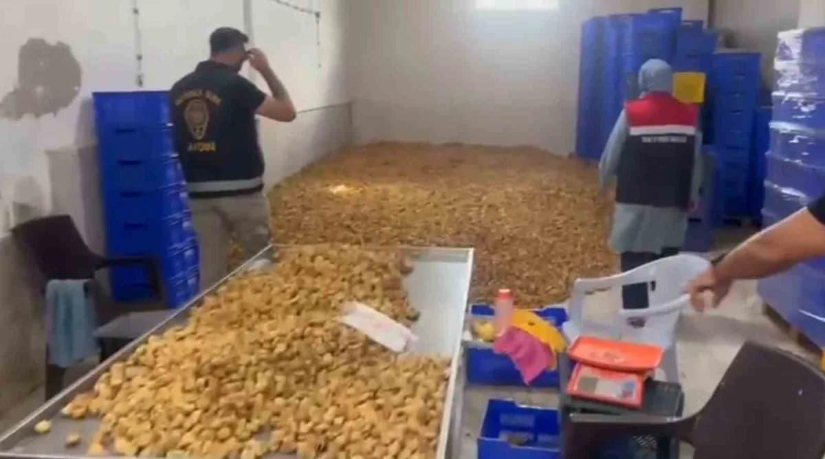 Aydın Köşk ilçesinde ele geçirilen 25 ton etiketsiz kuru incir yüklü kamyon