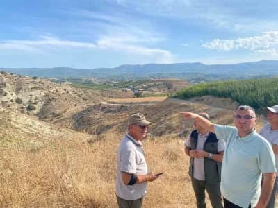 Mersin Mut ilçesinde orman köylülerine destek amacıyla dikilen zeytin fidanları