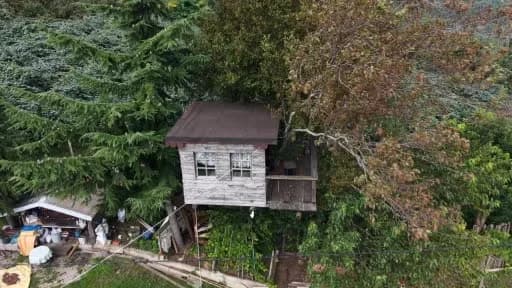 Ordu'da 90 yıllık meşe ağacının tepesinde yer alan ahşap ev ve altında salıncak