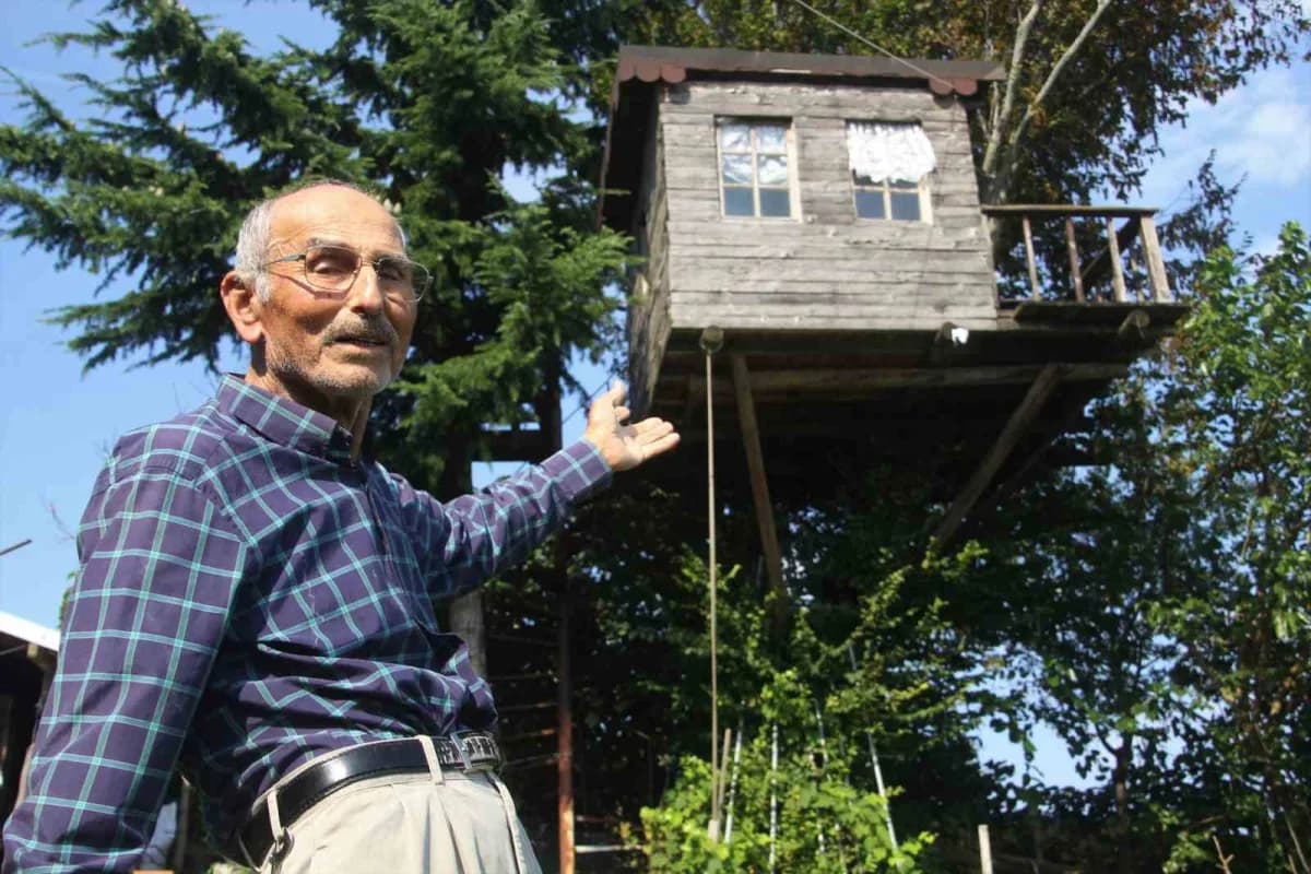 Ordu’da 90 yıllık meşe ağacının tepesinde yer alan ahşap ev ve altında salıncak